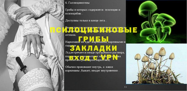 первитин Кукмор