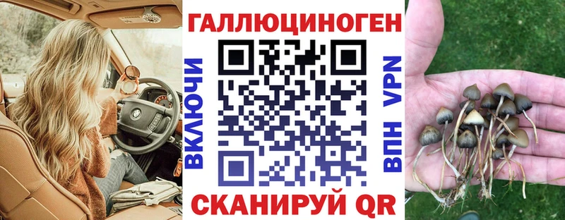 Галлюциногенные грибы Cubensis  Купить  Щёкино 